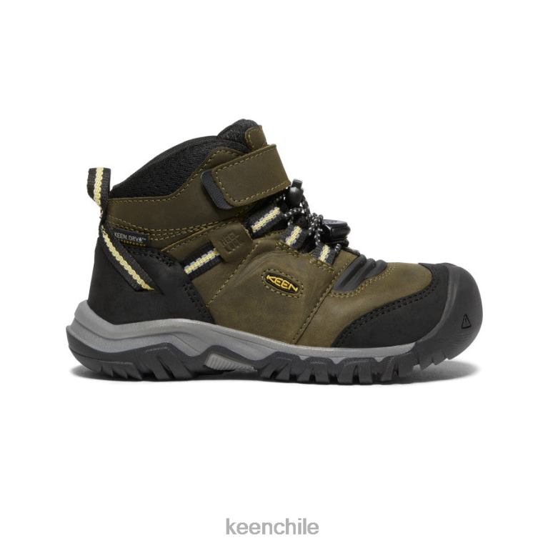 calzado KEEN bota impermeable ridge flex oliva oscuro/cidra oscura pequeños niños J4XN6907 - Image 1