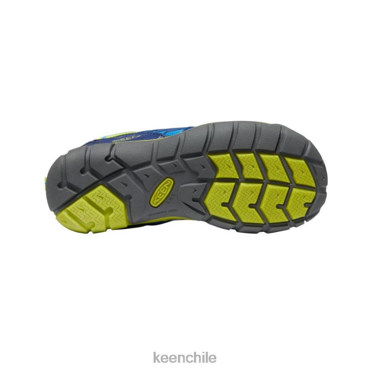 calzado KEEN chandler cnx azul brillante / profundidades azules niños grandes J4XN6893 - Image 4