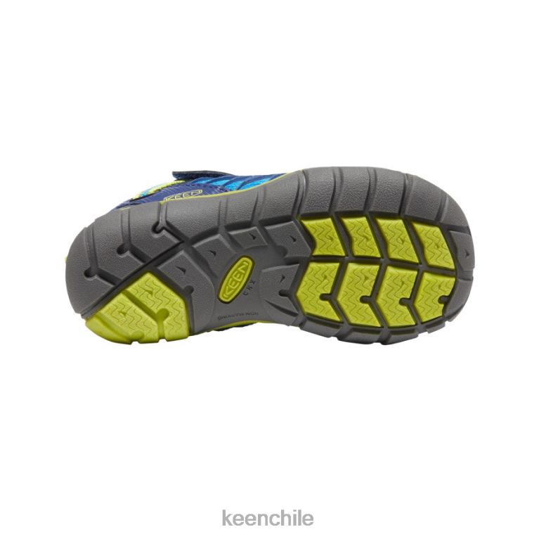 calzado KEEN chandler cnx azul brillante / profundidades azules pequeños niños J4XN6888 - Image 4