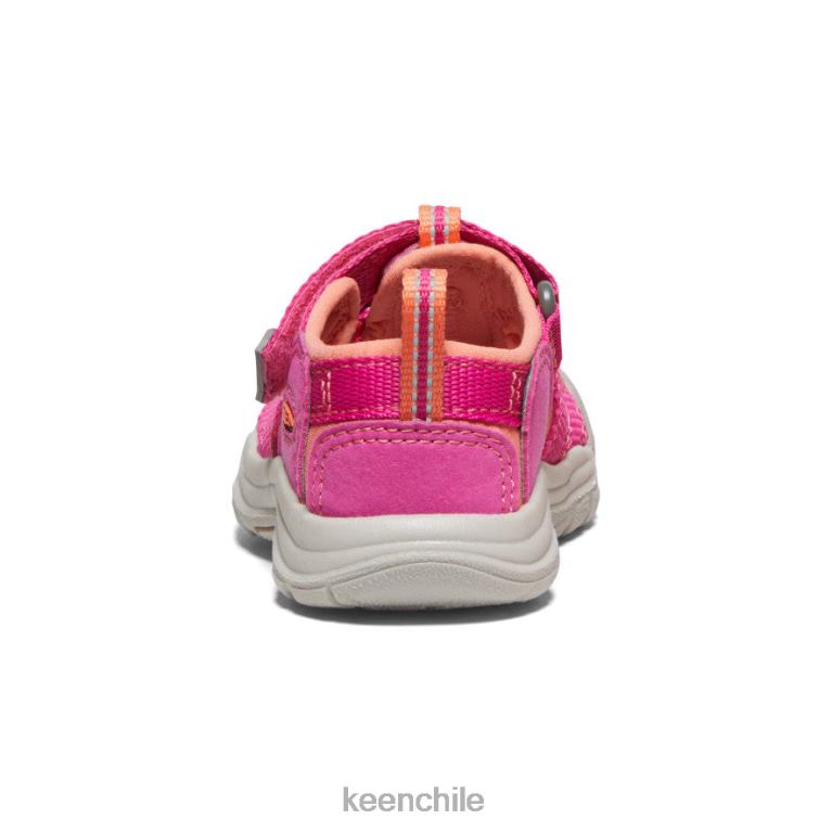 calzado KEEN newport h2 coral muy baya/fusión niños pequeños J4XN6828 - Image 5