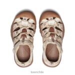 calzado KEEN newport h2 x oso ahumado oso ahumado/smores niños grandes J4XN6762 - Image 4