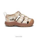 calzado KEEN newport h2 x oso ahumado oso ahumado/smores niños pequeños J4XN6835