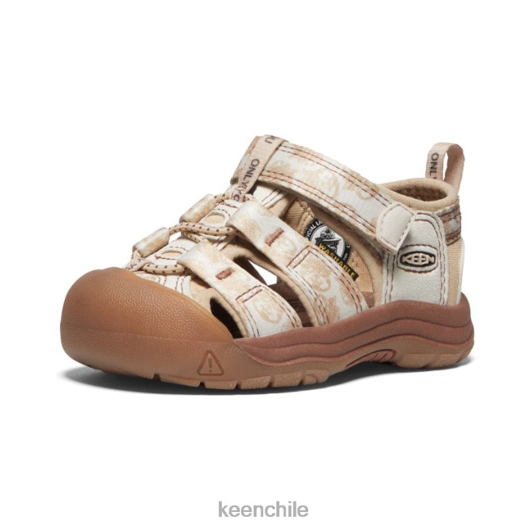calzado KEEN newport h2 x oso ahumado oso ahumado/smores niños pequeños J4XN6835 - Image 3