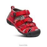 calzado KEEN seacamp ii cnx rojo carreras/gárgola niños pequeños J4XN6824 - Image 3