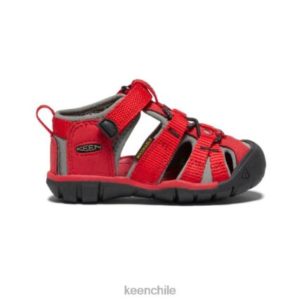 calzado KEEN seacamp ii cnx rojo carreras/gárgola niños pequeños J4XN6824