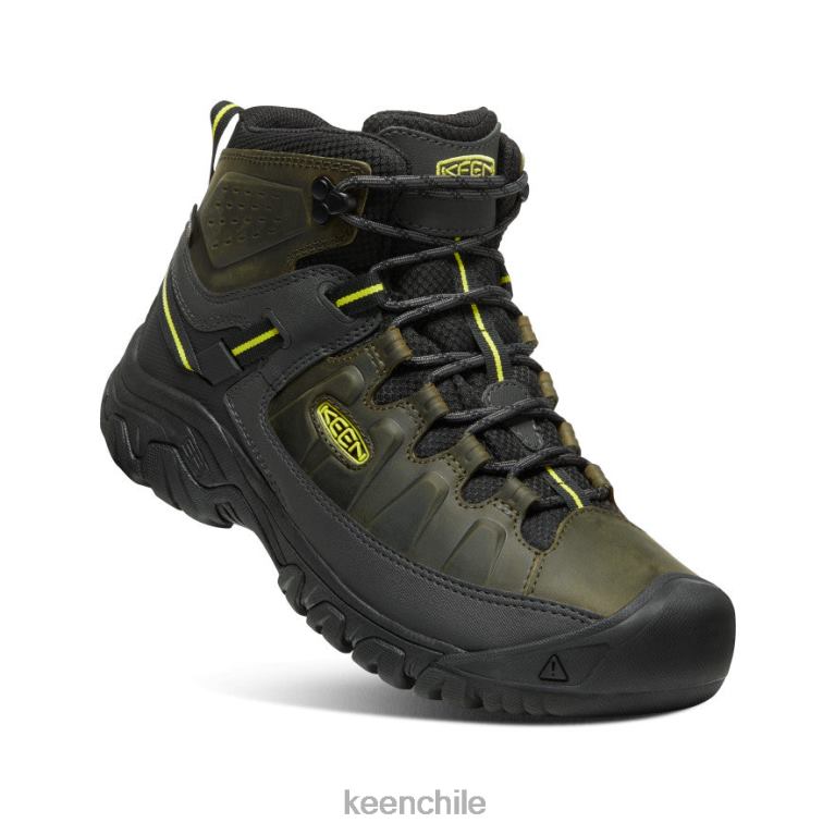 calzado KEEN targhee iii impermeable medio noche del bosque/onagra hombres J4XN6227 - Image 3