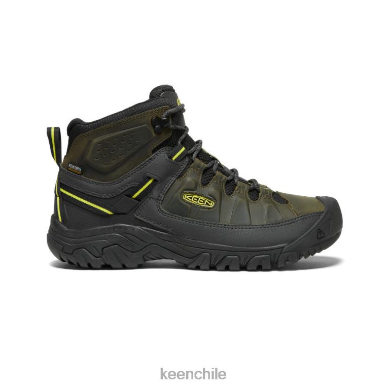 calzado KEEN targhee iii impermeable medio noche del bosque/onagra hombres J4XN6227 - Image 1