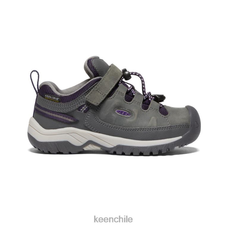 calzado_keen_zapato_impermeable_targhee_iman_tillandsia_purpura_pequenos_ninos_j4xn6910.jpg calzado KEEN zapato impermeable targhee imán/tillandsia púrpura pequeños niños J4XN6910 - Image 1