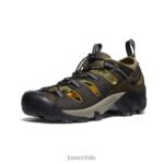 calzado KEEN arroyo ii cantimplora/negro hombres J4XN693 - Image 3