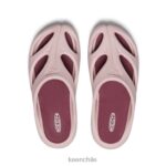 calzado KEEN Shanti cervatillo/merlot mujer J4XN6488 - Image 4